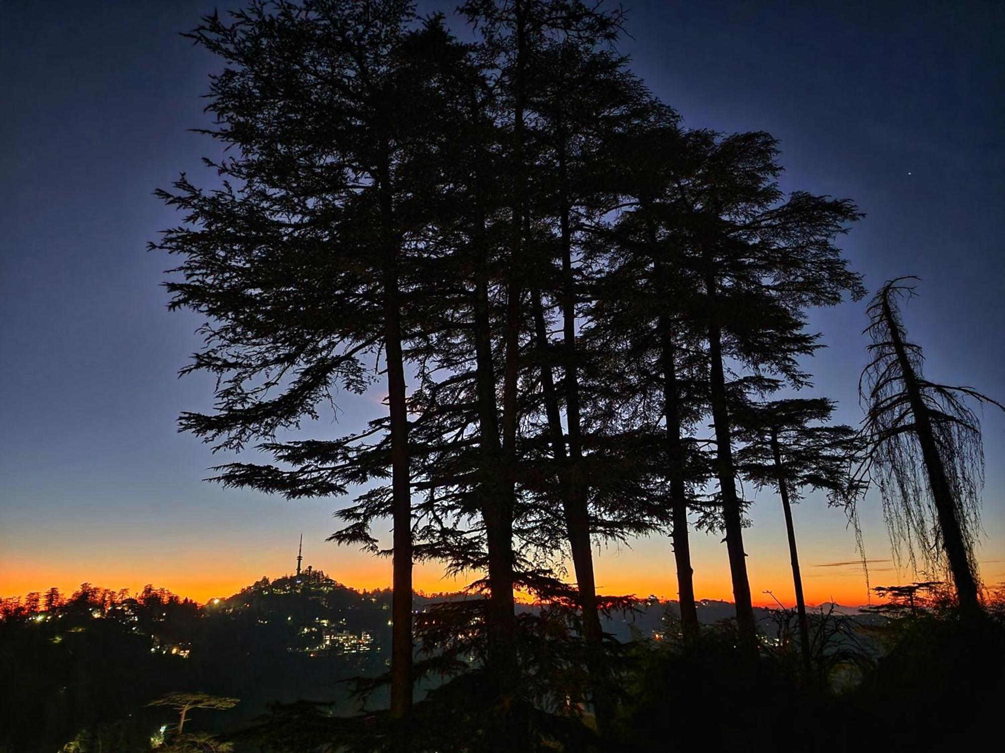 Hotel Pineview Shimla Exterior photo